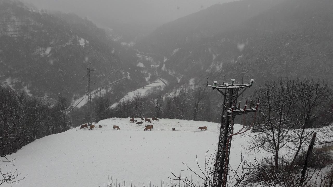 Rural L'Ortiga Blanca 호텔 케랄브스 외부 사진